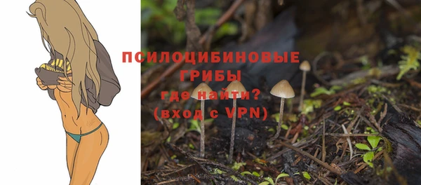 МДПВ Алексин