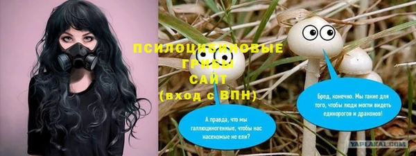 МДПВ Алексин