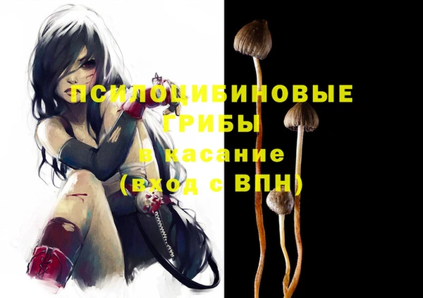МДПВ Алексин