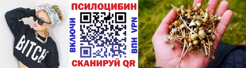Галлюциногенные грибы Magic Shrooms где можно купить наркотик Тихвин